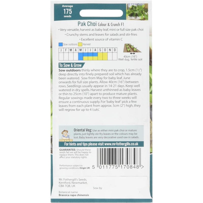 Mr Fothergill's 19509 PAK Choi Colour & Crunch F1 - Image 2