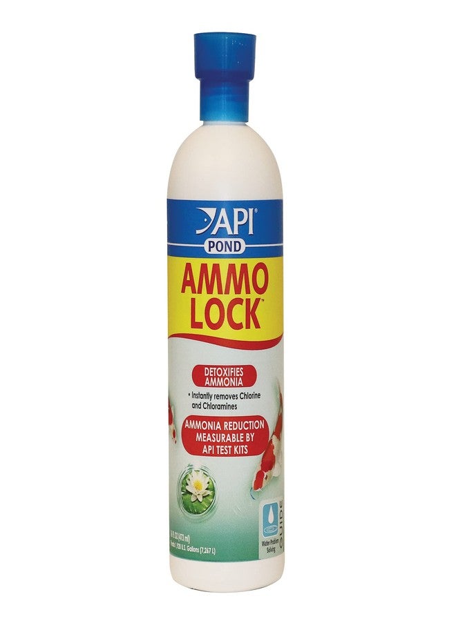 ايه بي آي مزيل الأمونيا من API POND AMMO-LOCK لمياه البرك، عبوة 16 أونصة - Image 1