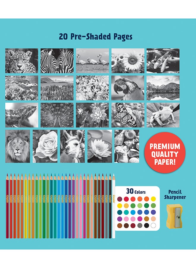 Crayola Hd Coloring Kit, 30 Colored Pencils  And 20 Premium Coloring Pages, Coloring Set For Teens, Gift  - Image 5