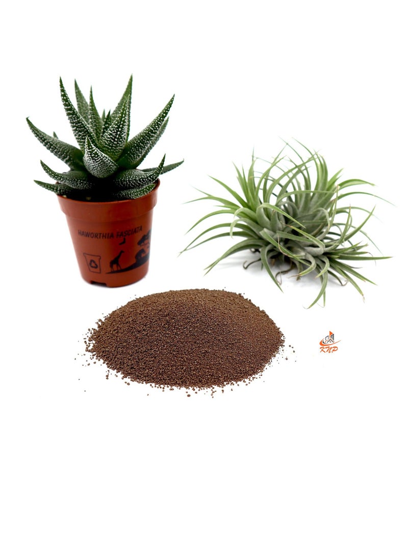 KNP Disper CaB Best for Boron & Calcium Deficiencies 100 grams - Image 1