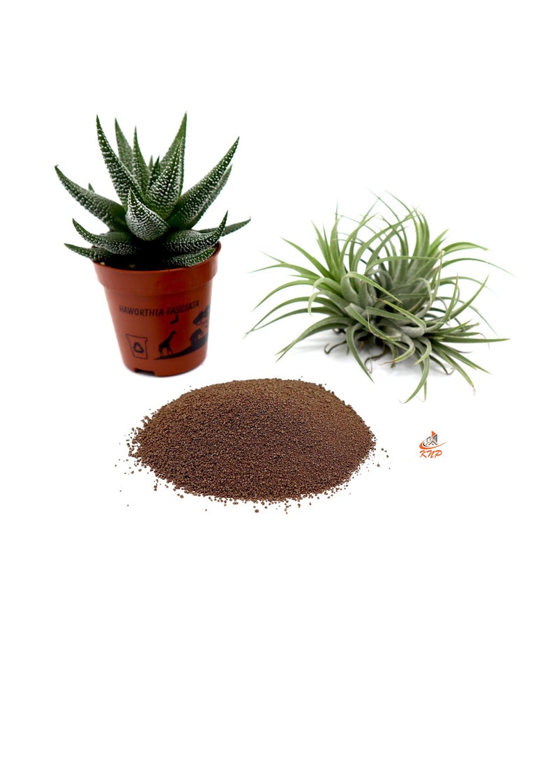 KNP Disper CaB Best for Boron & Calcium Deficiencies 100 grams - Image 2