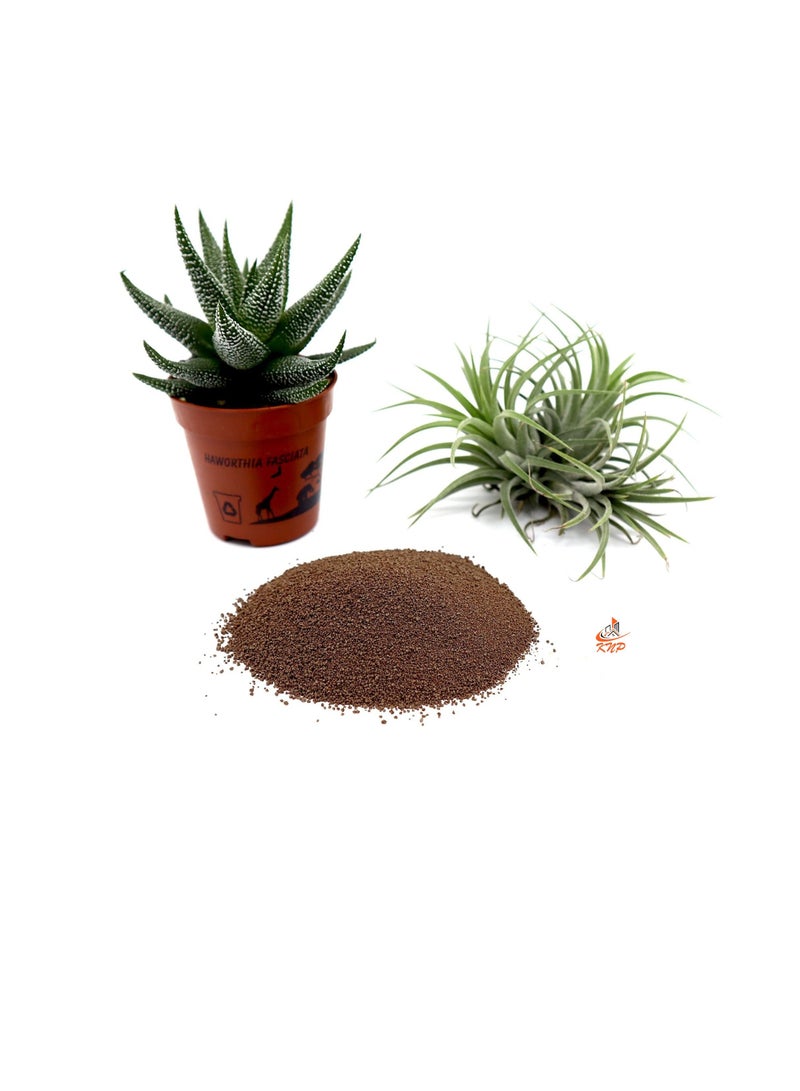 KNP Disper CaB Best for Boron & Calcium Deficiencies 100 grams - Image 3