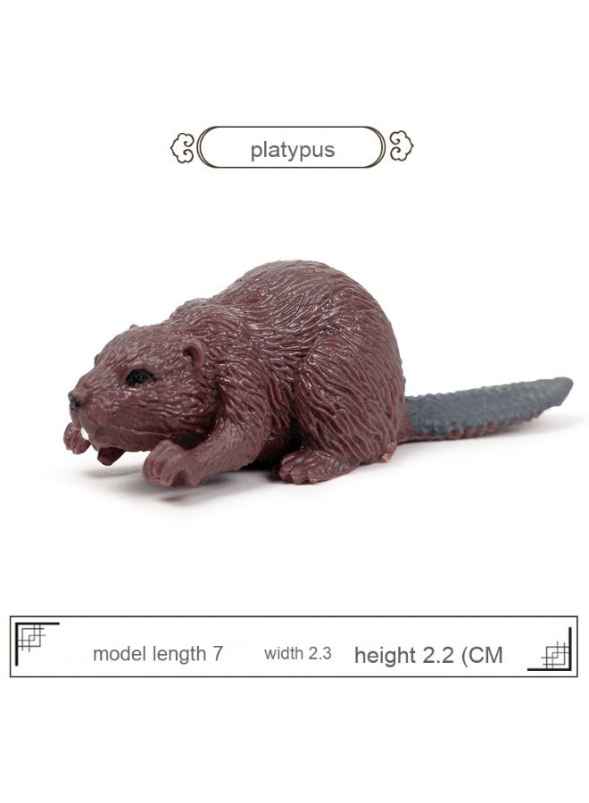 NIBEMINENT Children's Cognitive Early Education Toy - Realistic Beaver Model