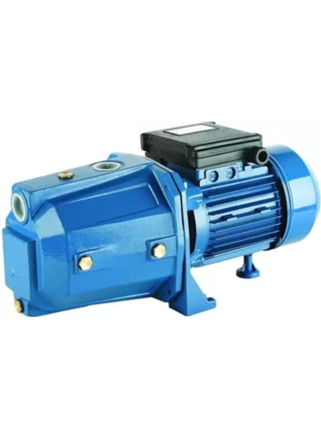 China 750W 1HP Heavy Duty Water Motor 