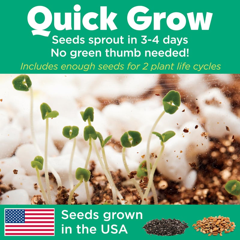 Creativity for Kids Grow 'N Glow Terrarium Kit - Educational Science Kits| Holiday Stocking Stuffers for Kids Gifts for Boys and Girls| Craft and STEM Projects (Ages 6+) - Image 4