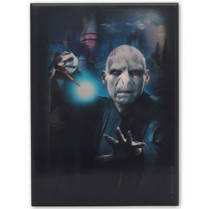 HARRY POTTER 3D WOOD WALL DECOR VINTAGE HARRY POTTER PICTURE FEATURING BOTH HARRY AND LORD VOLDEMORT