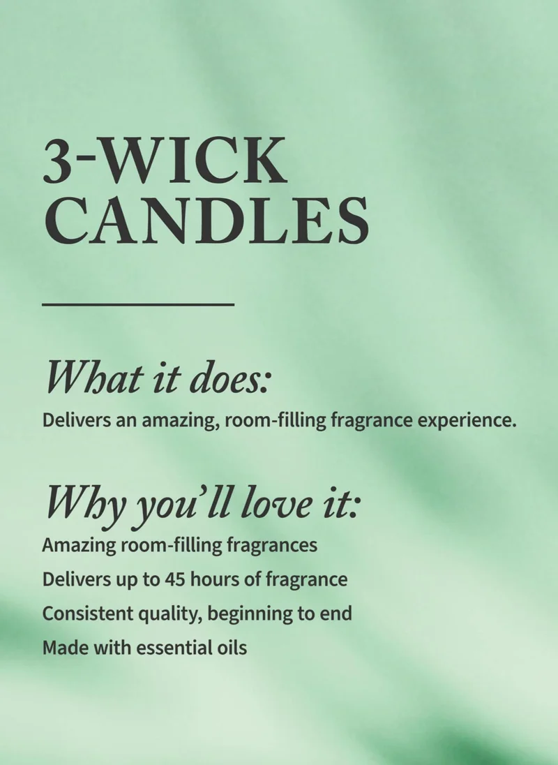 باث آند بودي وركس Into The Night 3-Wick Candle 14.5 oz / 411 g