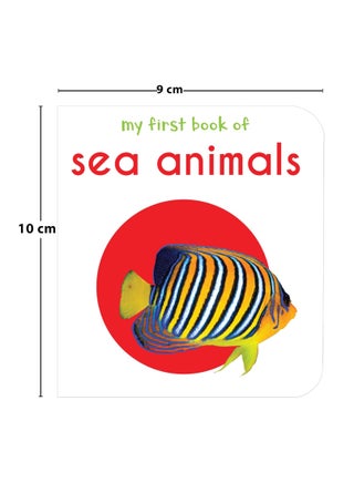 Wonderhouse My First Library : Boxset of 10 Board Books for Kids