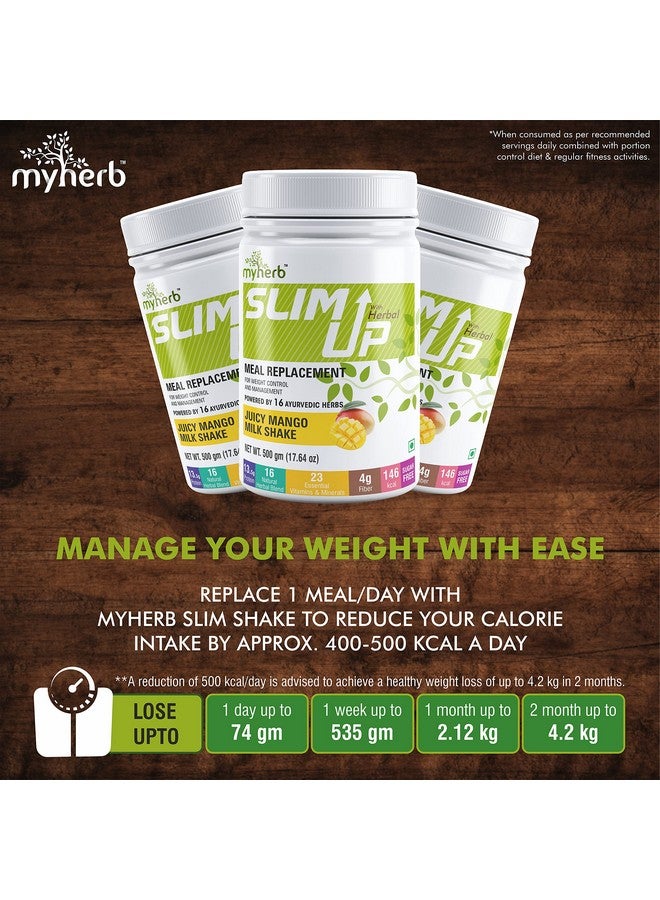 MYHERB Slim Up Meal Replacement Shake With 16 Natural Herbal Blend (Ayurvedic Formula) For Weight Control&Management-13.5g Protein-23 Vitamins For Men&Women (Juicy Mango Milk Shake, 500 gm) - Image 2