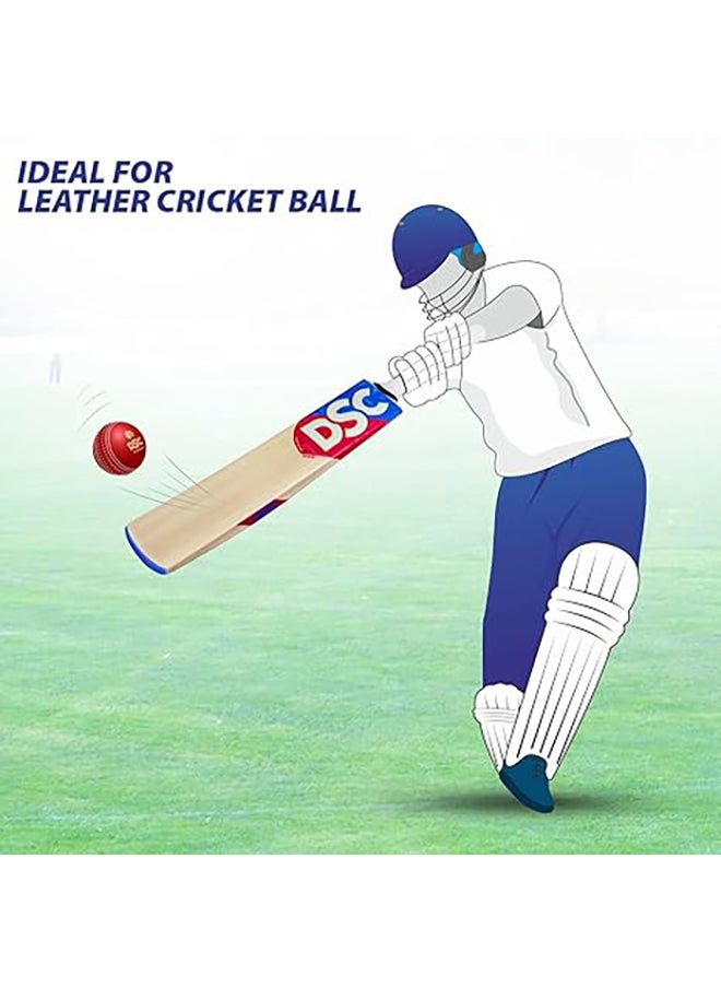 DSC - Intense Clout Kashmir Willow Cricket Bat Short Handle Mens | Each bat comes with a free cover | Durable Material | Ergonomic Handle | Optimized Balance - Image 1