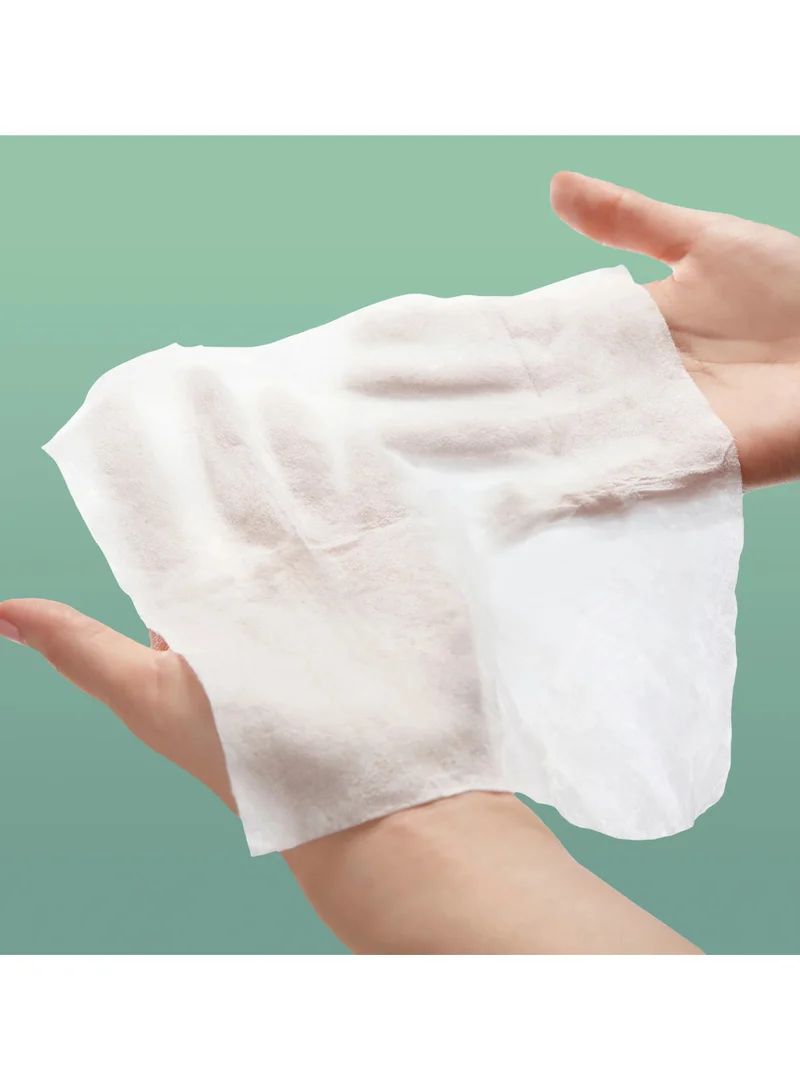 Rael Natural Feminine Cleansing Wipe 10S