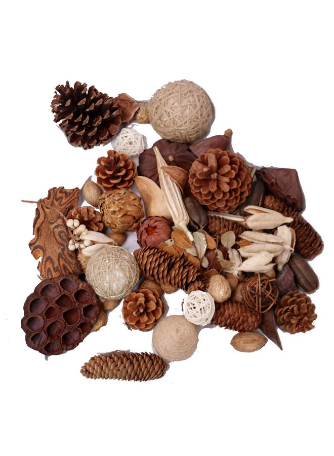 يُسلِّم مجموعة واحدة من أقماع الصنوبر الصغيرة الطبيعية العشوائية، زينة عيد الشكر الصغيرة، حشوات المزهريات للحرف اليدوية والديكورات المنزلية وديكورات الخريف والزفاف - Image 2