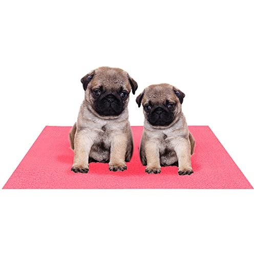 Amorite Reusable Washable Dog Pee Mat 70 X 50 Salmon Rose (Small) | Puppy Training Pads | Leakproof Dog Potty Pad | Non-Slip Pee Mat for Dogs and Puppies | Washable Pee Pads for Dogs - Image 1