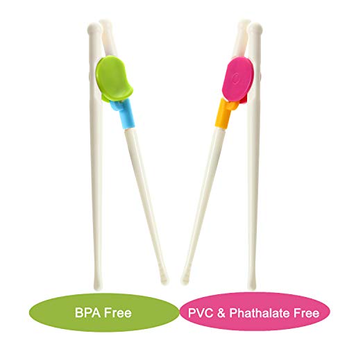 PandaEar Kids Children Adult Training Chopsticks (2 Pack) - Image 5