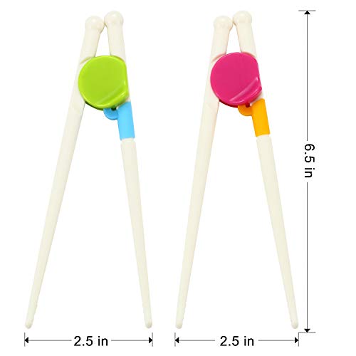PandaEar Kids Children Adult Training Chopsticks (2 Pack) - Image 2