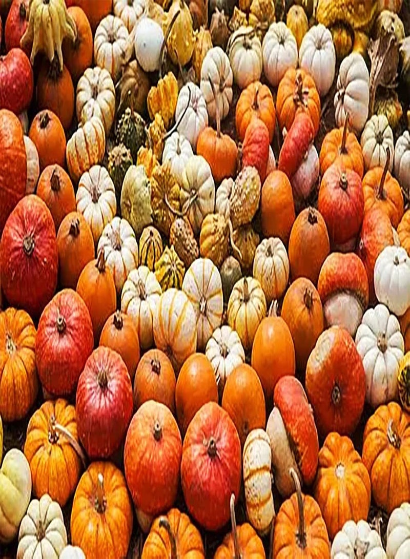 جي جوت 50 قطعة من مستلزمات الحدائق المصنوعة من الألوان الطبيعية الجميلة Wartungsarm Erbstück Zum Pflanzen im Garten Genießen Sie die Freude an der Ernte Kleine Schwierigkeit - Image 2