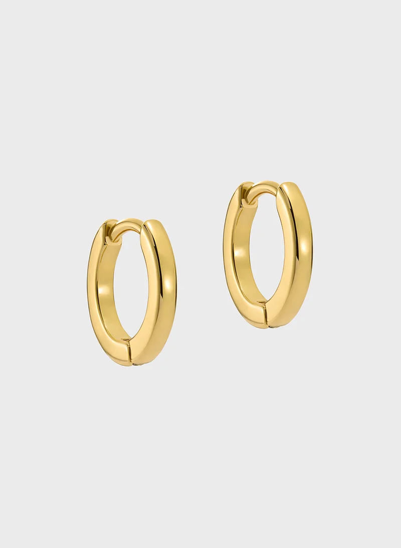 Ted Baker Logo Detail Hoop Earrings
