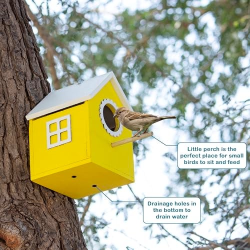BirdShala Bird House Safe and Attractive, Yellow with White Trim, Ventilated with Perch and Drainage Specially Designed for Small Size Birds Like Sparrow, Sunbird, Prinia, Tailorbird, Humming Bird - Image 5