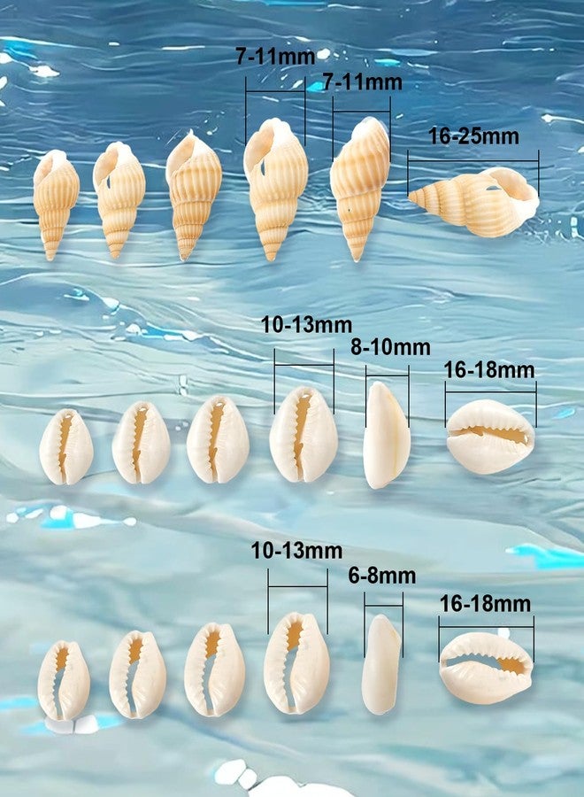 DoDoBeads Natural Cowrie Shell Beads for Crafts, Jewelry Making, Hair Adornment - with Convenient Holes for Easy Use - Image 2