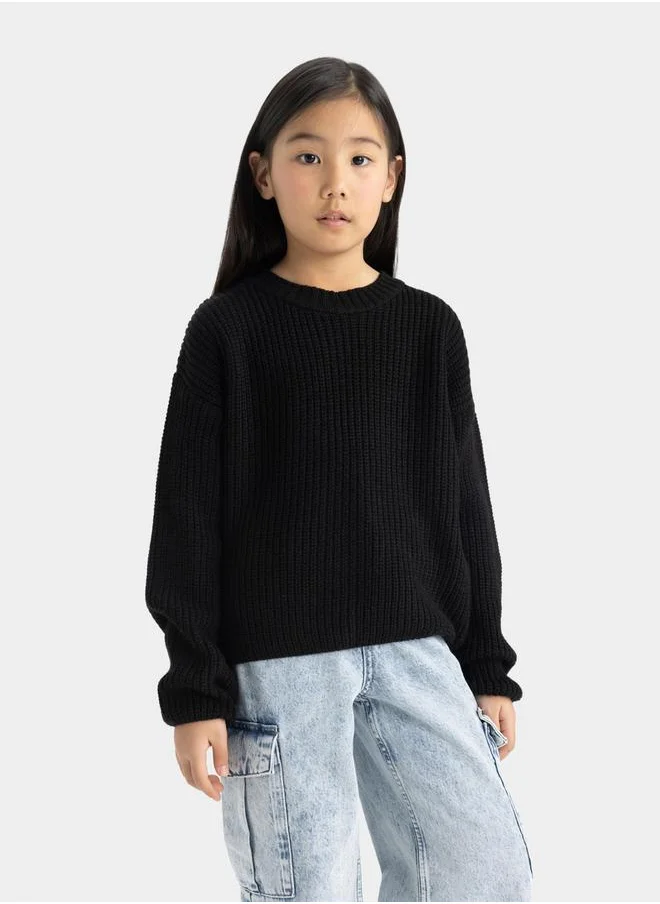 ديفاكتو Regular Fit Round Neck Rib Knit Sweater by Styli