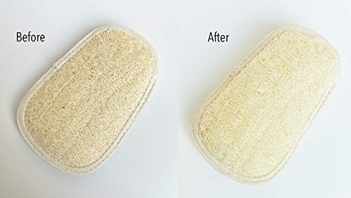 FAAY Loofah Sponge Refill for FAAY Back Scrubber on Stick, 3 Packs - Image 4