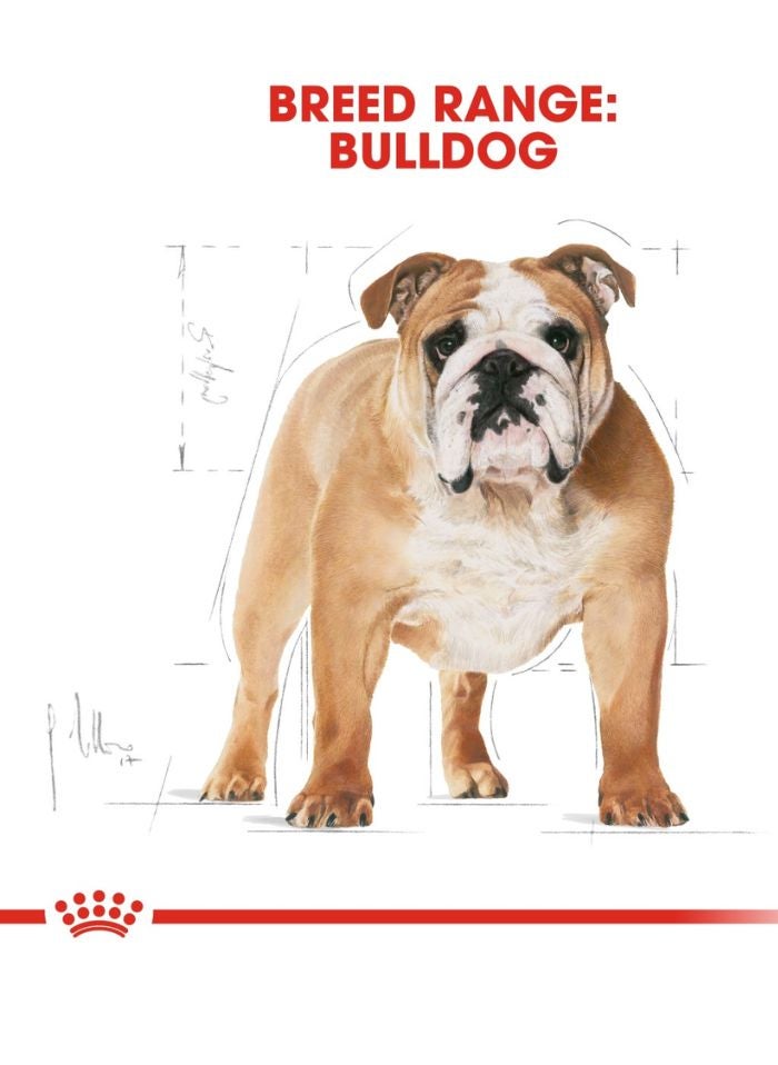 ROYAL CANIN Breed Health Nutrition Bulldog Adult 12 KG - Image 5