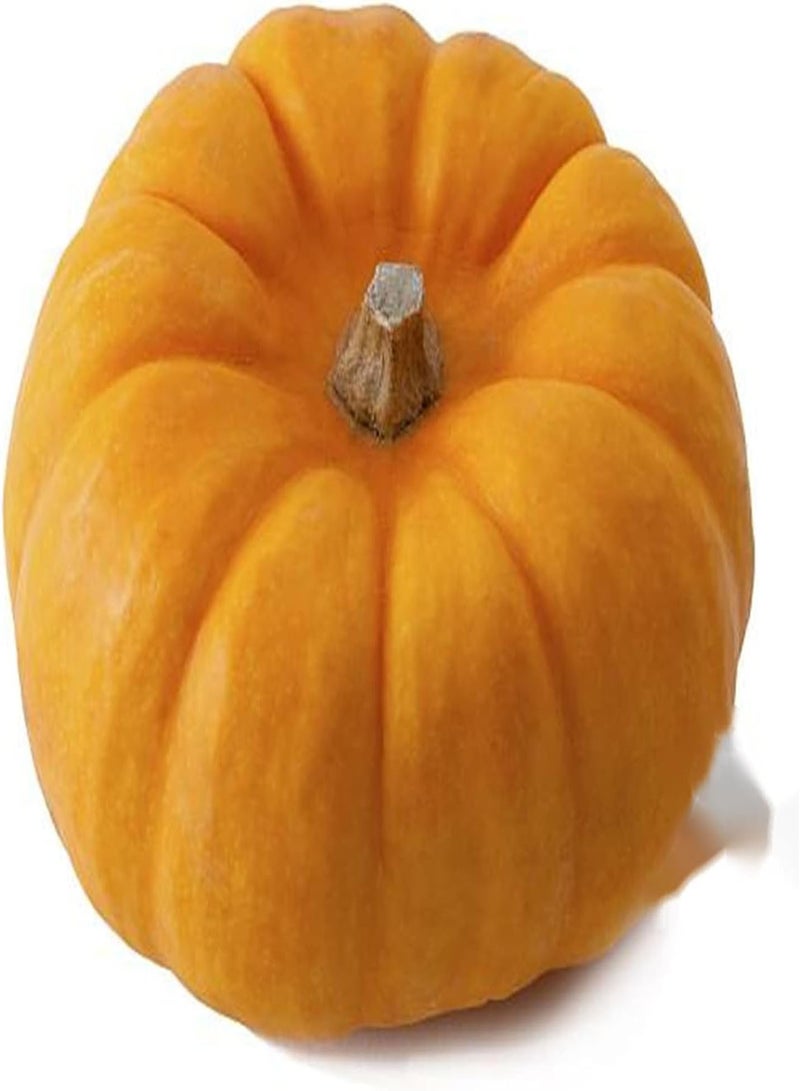 GGOOT Pumpkin Seeds for UK-Collection Gift Seeds Garden Planting Stunning Popular Home DIY-100 Pcs - Image 1