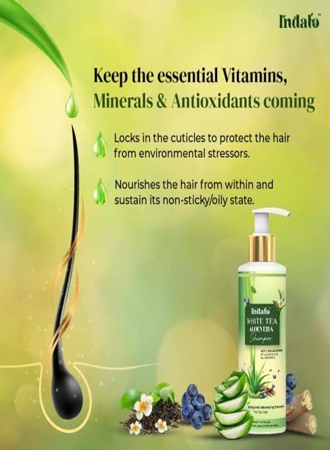 Indalo White Tea Aloe Vera Shampoo for Oily Hair | Anti-dandruff Shampoo with Licorice and Blue Berries for all types of hair | Hair Strengthening and Volumizing Shampoo for Damaged Hair | Paraben Free, Sulphate Free & Silicone Free Shampoo - 200ml - Image 4