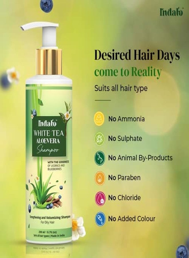 Indalo White Tea Aloe Vera Shampoo for Oily Hair | Anti-dandruff Shampoo with Licorice and Blue Berries for all types of hair | Hair Strengthening and Volumizing Shampoo for Damaged Hair | Paraben Free, Sulphate Free & Silicone Free Shampoo - 200ml - Image 2