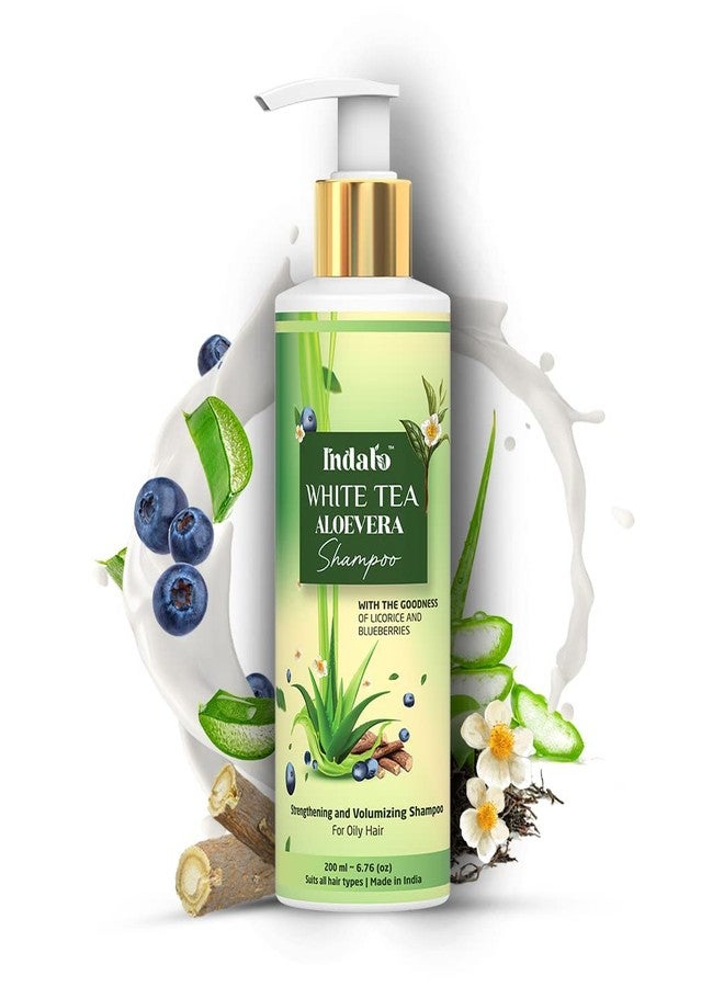 Indalo White Tea Aloe Vera Shampoo for Oily Hair | Anti-dandruff Shampoo with Licorice and Blue Berries for all types of hair | Hair Strengthening and Volumizing Shampoo for Damaged Hair | Paraben Free, Sulphate Free & Silicone Free Shampoo - 200ml - Image 1