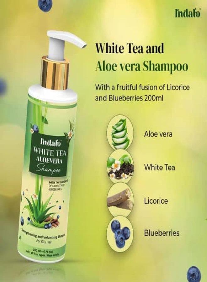 Indalo White Tea Aloe Vera Shampoo for Oily Hair | Anti-dandruff Shampoo with Licorice and Blue Berries for all types of hair | Hair Strengthening and Volumizing Shampoo for Damaged Hair | Paraben Free, Sulphate Free & Silicone Free Shampoo - 200ml - Image 3