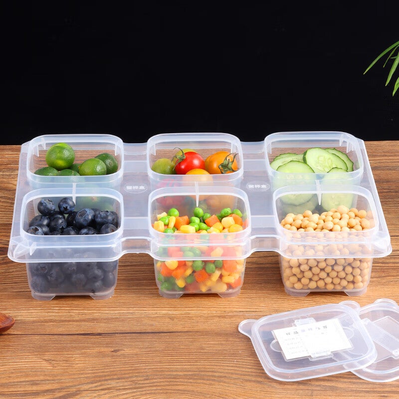 Baijie Food Sample Storage Box, Kindergarten School Hotel Fresh-Keeping Material Sampling Box, 6 Compartments Integrated (With Labels) - Image 2