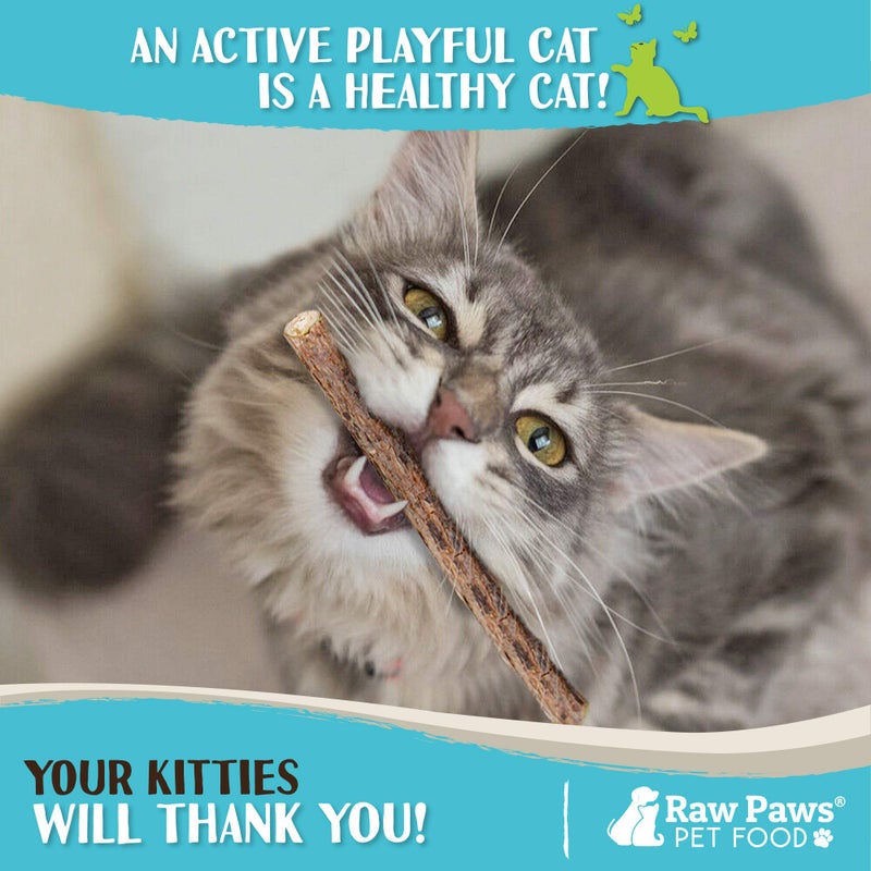 Raw Paws Silvervine Sticks for Cats (30 Pack) - Silvervine Cat Toy for Indoor Cats - Catnip Sticks - Silver Vine Cat Chew Stick - Image 5