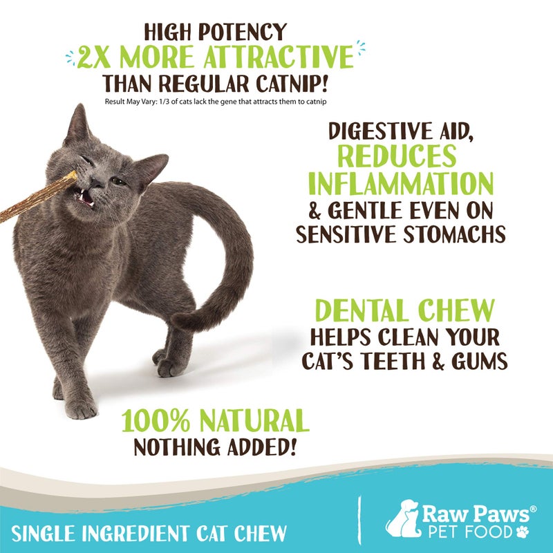 Raw Paws Silvervine Sticks for Cats (30 Pack) - Silvervine Cat Toy for Indoor Cats - Catnip Sticks - Silver Vine Cat Chew Stick - Image 2