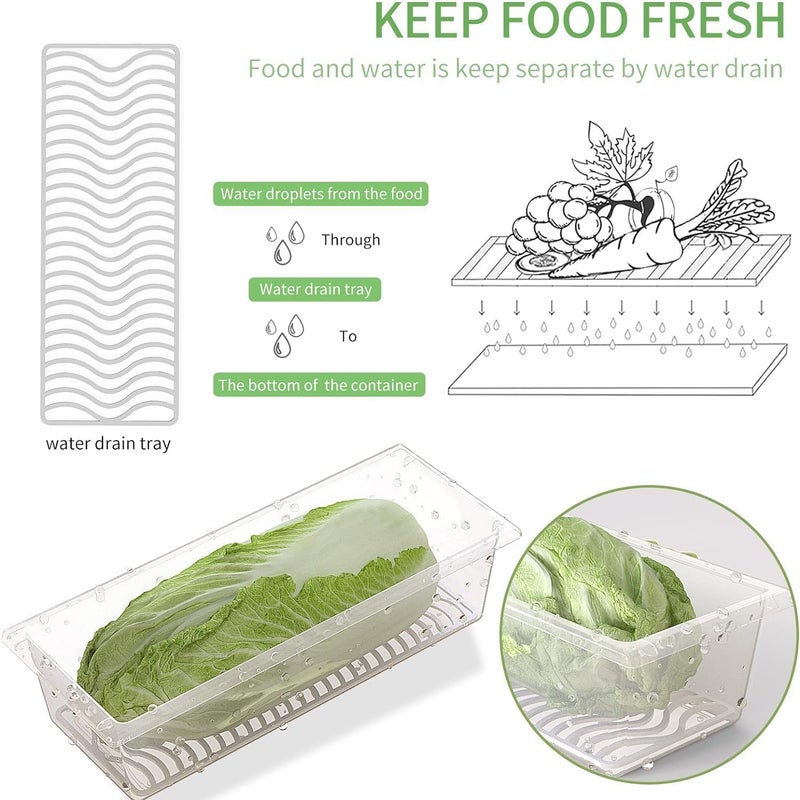 VeriXpress Fridge Storage Boxes (Pack of 6), Fridge Organizer With Removable Drain Plate, Fridge Storage Containers 1500 ML, Keeps Fruits, Vegetables Fresh Longer - Image 3