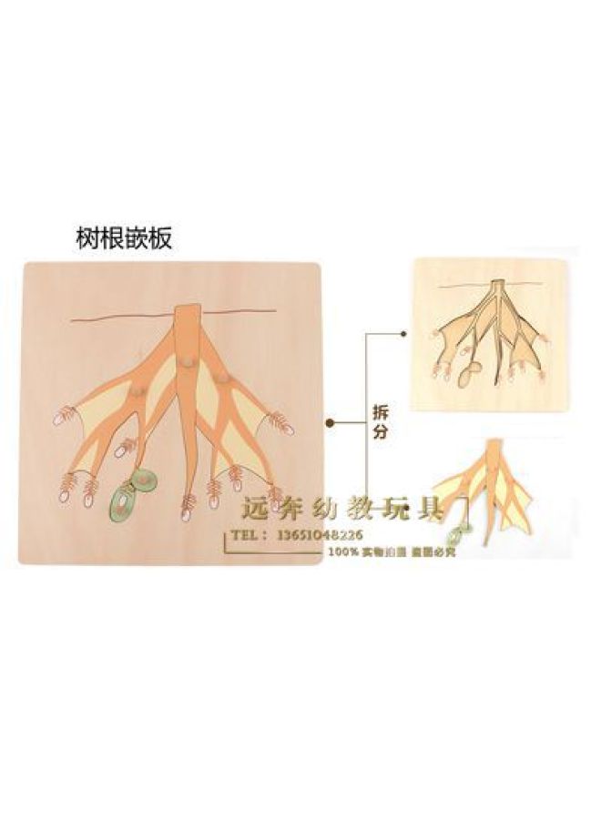 Animal And Plant Panel Montessori Wooden Puzzle Puzzle Hand Scratching Board Wooden Early Education Kidsren's Educational Toys Teaching Aids - Image 1