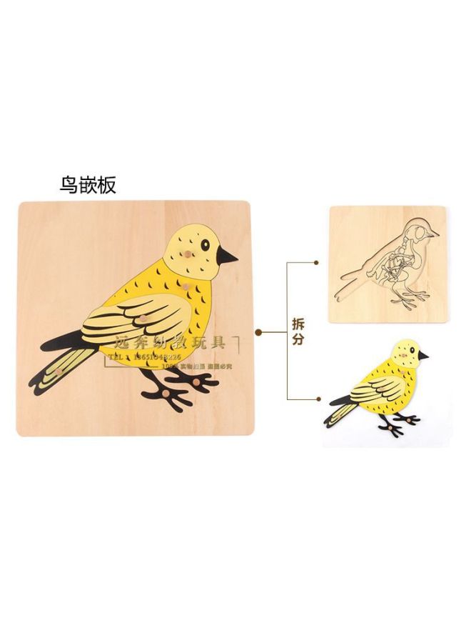 Animal And Plant Panel Montessori Wooden Puzzle Puzzle Hand Scratching Board Wooden Early Education Kidsren's Educational Toys Teaching Aids - Image 3