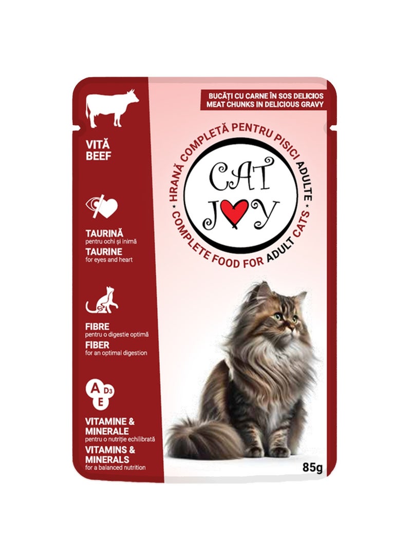 قطط جوي مع لحم البقر في المرق 85 جرام