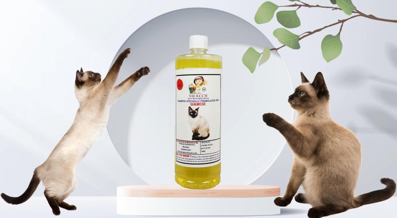 SWACCH Shampoo Specially FORMULATED for Siamese Cat (1 Litre) Lemon - Image 2