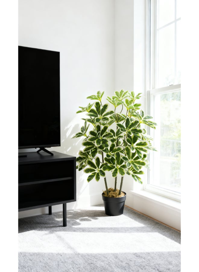 ايست من نون نبات شيفليرا المظلة الاصطناعي بارتفاع 75 سم مع وعاء | نبات مكتبي بتصميم وملمس واقعي - أوراق خضراء وبيضاء | نبات بت texture طبيعي زخرفي للمنزل، غرفة المعيشة، الدراسة ومساحات المكتب - Image 2