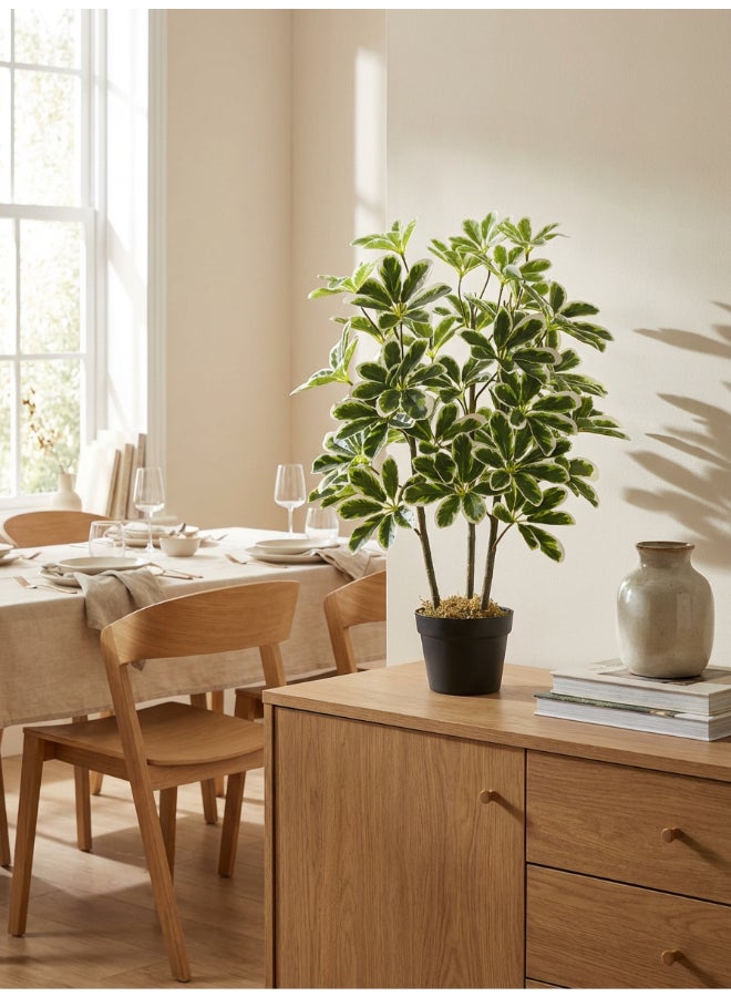 ايست من نون نبات شيفليرا المظلة الاصطناعي بارتفاع 75 سم مع وعاء | نبات مكتبي بتصميم وملمس واقعي - أوراق خضراء وبيضاء | نبات بت texture طبيعي زخرفي للمنزل، غرفة المعيشة، الدراسة ومساحات المكتب - Image 3