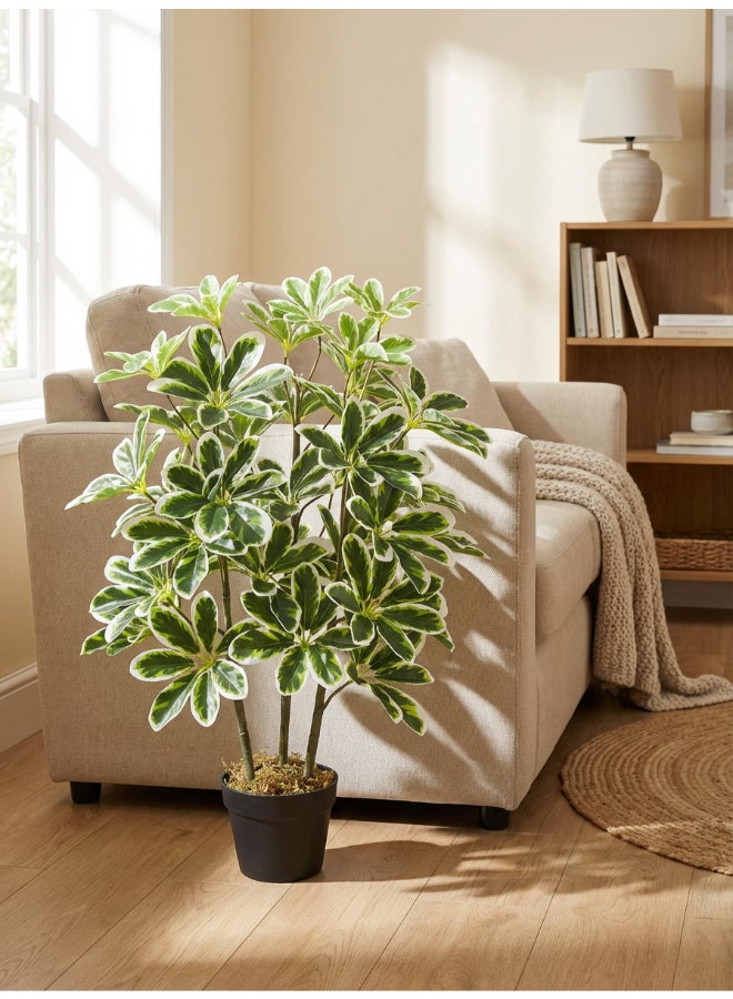 ايست من نون نبات شيفليرا المظلة الاصطناعي بارتفاع 75 سم مع وعاء | نبات مكتبي بتصميم وملمس واقعي - أوراق خضراء وبيضاء | نبات بت texture طبيعي زخرفي للمنزل، غرفة المعيشة، الدراسة ومساحات المكتب - Image 1