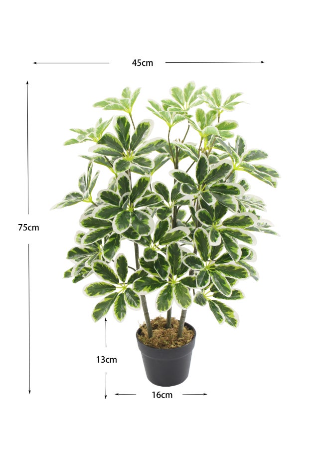 ايست من نون نبات شيفليرا المظلة الاصطناعي بارتفاع 75 سم مع وعاء | نبات مكتبي بتصميم وملمس واقعي - أوراق خضراء وبيضاء | نبات بت texture طبيعي زخرفي للمنزل، غرفة المعيشة، الدراسة ومساحات المكتب - Image 5
