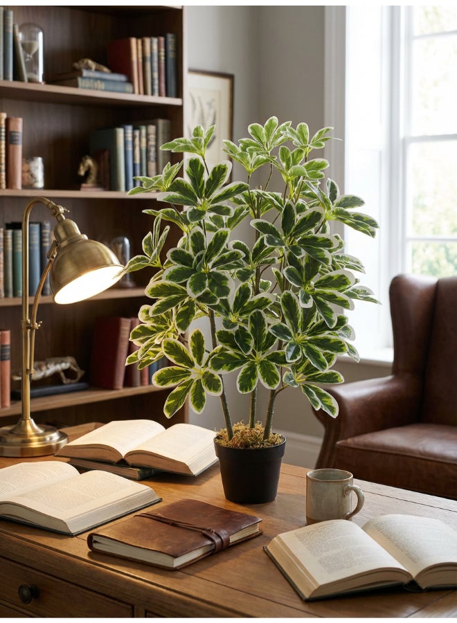 ايست من نون نبات شيفليرا المظلة الاصطناعي بارتفاع 75 سم مع وعاء | نبات مكتبي بتصميم وملمس واقعي - أوراق خضراء وبيضاء | نبات بت texture طبيعي زخرفي للمنزل، غرفة المعيشة، الدراسة ومساحات المكتب - Image 4