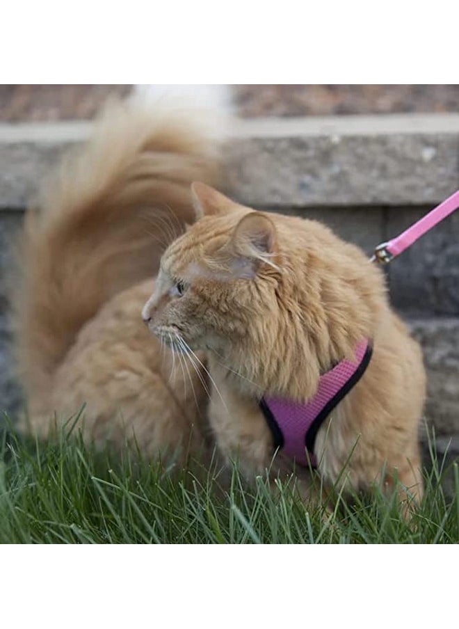 Generic - Puppy Harness And Leash Set - Adjustable Soft Mesh Comfort Fit Harness No Pull No Choke, Kusan Harness - Pink - Image 1