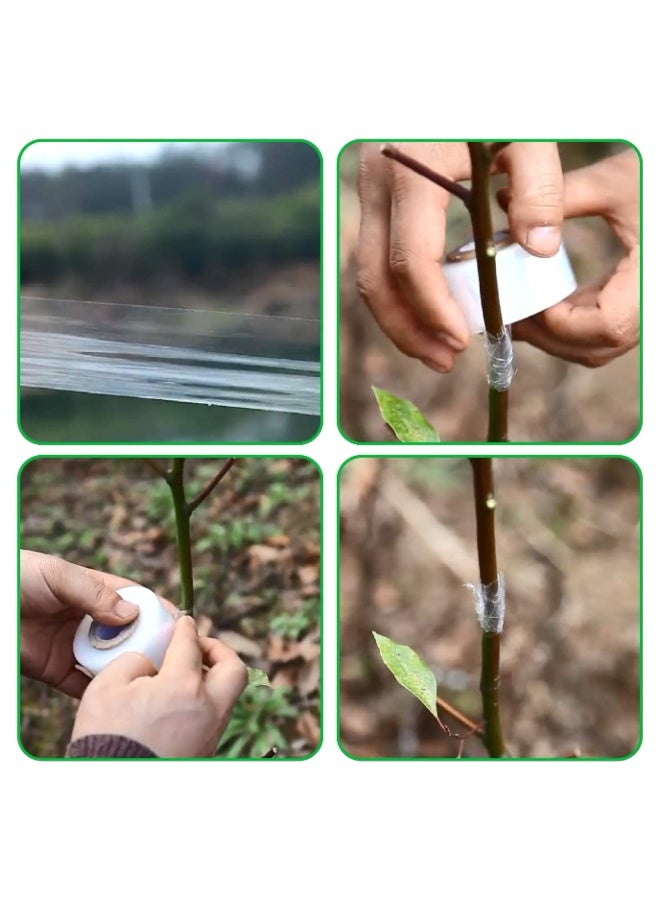 Bukela Parafilm Grafting Tape for Fruit Trees Floral Tape Parafilm Grafting Tools Plant Tape Garden Plant Nursery Tape PE Stretchable Self Adhesive Membrane Clear Floristry Film para Film 4 Pcs - Image 4