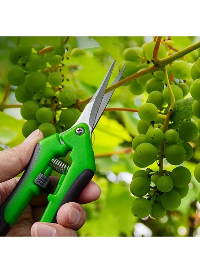 Green Multifunctional Straight Head Garden Pruning Shears Non Slip Labor Saving Flower Branch Scissors - Image 4