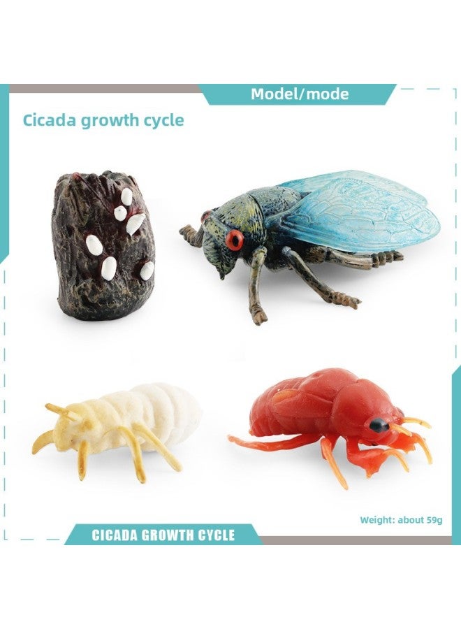 Simulation Solid Spider Naruto Centipede Insect Model Children's Toy erfly Bee Animal Decoration Sand Tray-Color:PL127-2434 Cicada Cycle 2 59g - Image 1