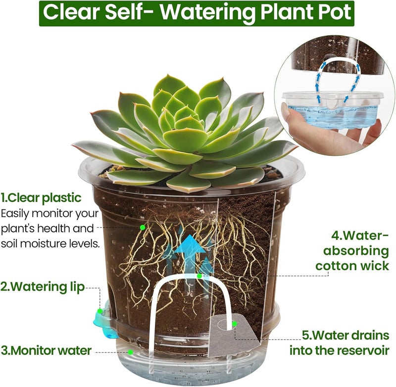 Bluepro 20 Pack 5 Inch Clear Self Watering Plant Pots with Bottom Water Tray & Watering Rope, Transparent Nursery Pots with Drainage for Seedlings, Herbs, and Houseplants - Image 4