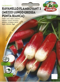 ZORZI Ravanello Seeds 
